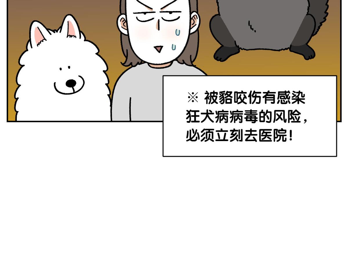 第24话 貉-第92话