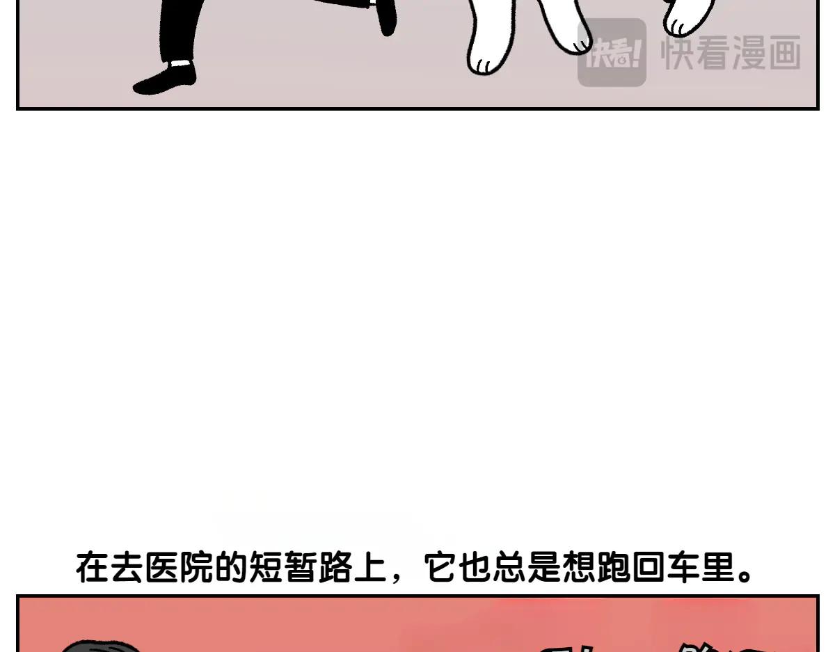 第26话 动物医院-第94话