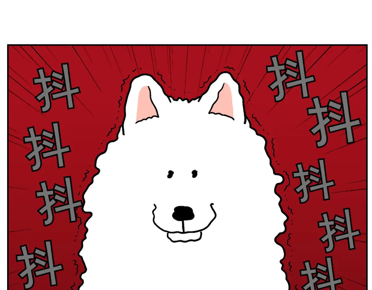 第26话 动物医院-第94话
