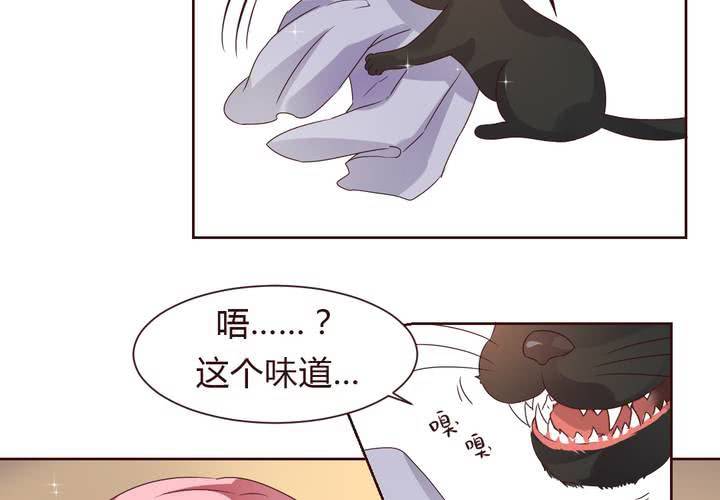 第37话 少妖主的新用法~-第38话