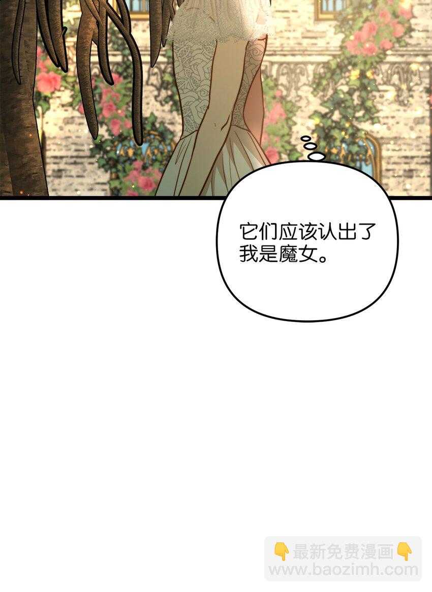 96 遇见大魔女(1/2)-第96话
