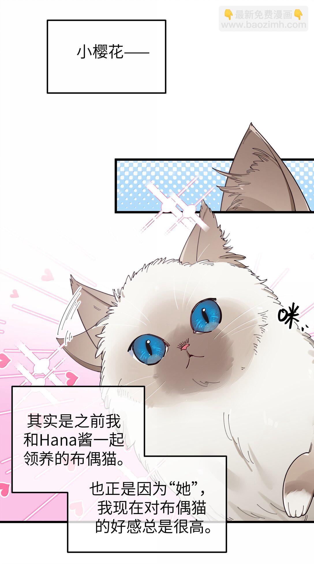 137 家里有只&hellip;猫娘？-第144话