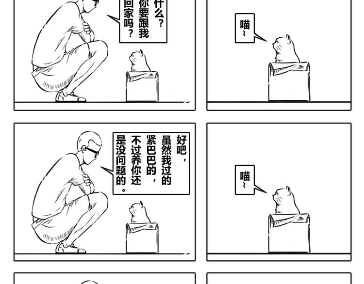 第2章 第14话 孤独的人是一只猫-第24话