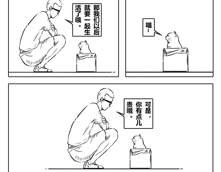 第2章 第14话 孤独的人是一只猫-第24话