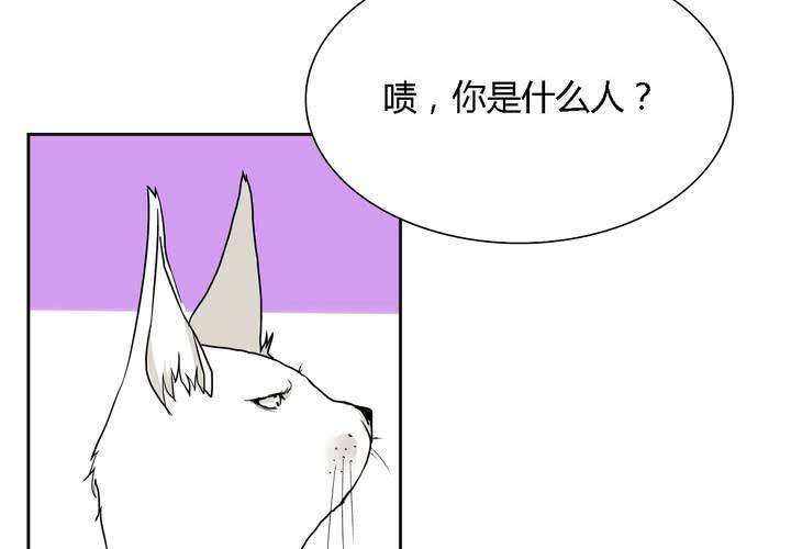 第25话 真相(1/2)-第26话