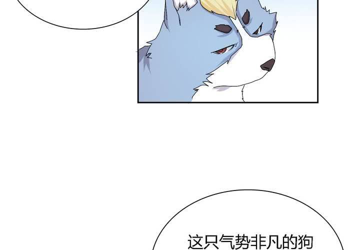第25话 真相(1/2)-第26话