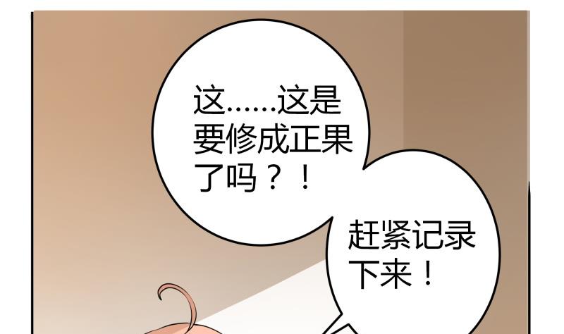 第19话 菊花的危机-第20话