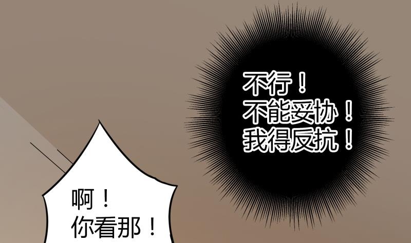 第19话 菊花的危机-第20话