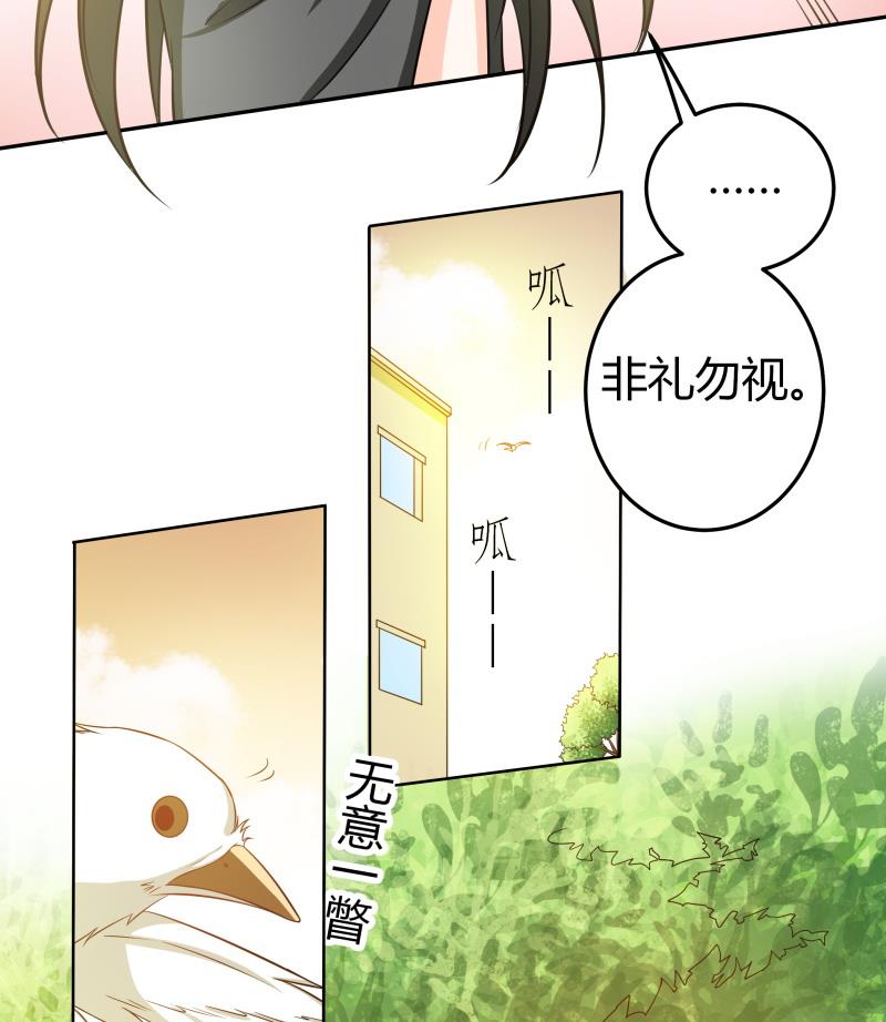 第42话 安北一血-第44话
