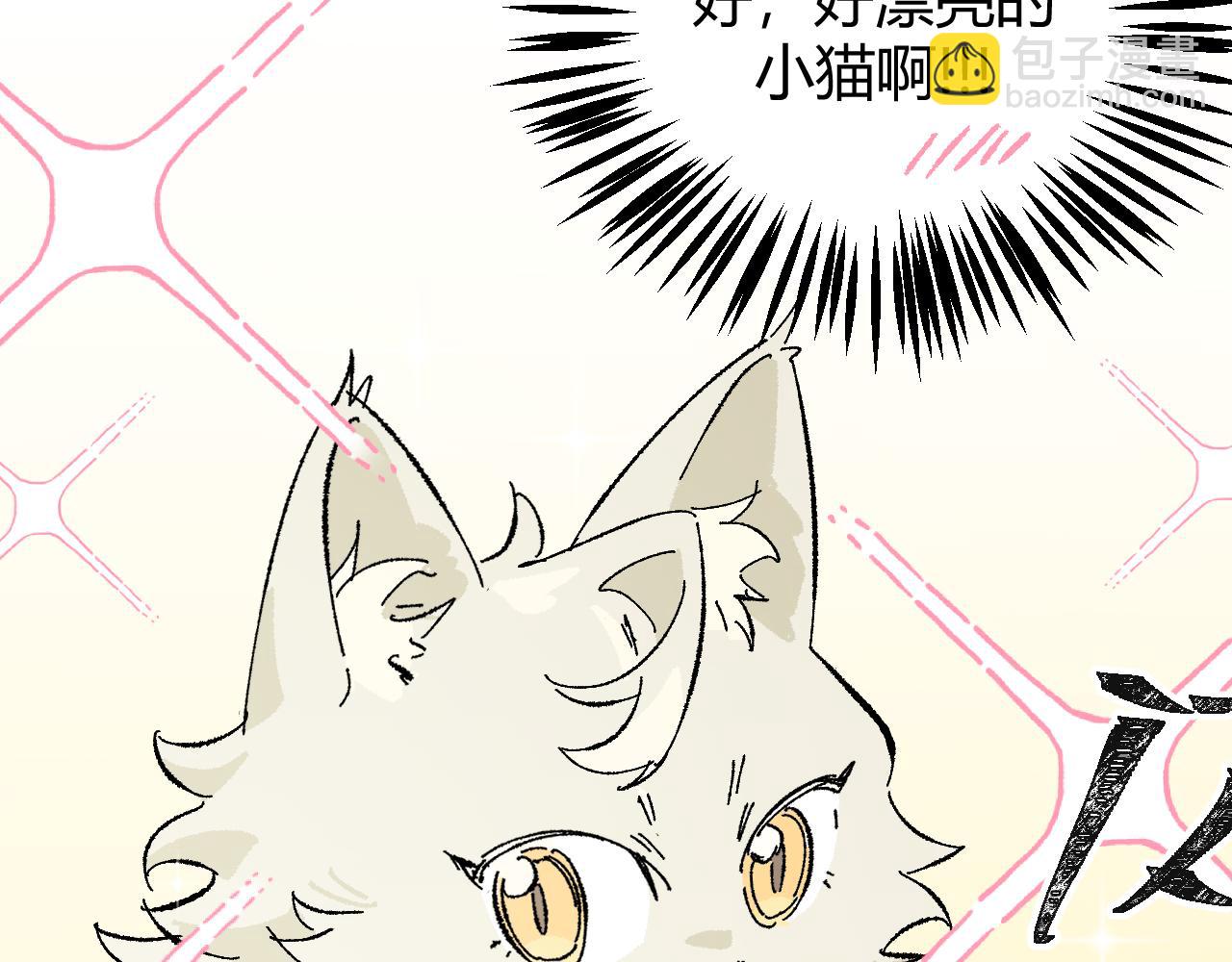 我的上司是隻貓？ - 沒有貓德的人類(2/2) - 1