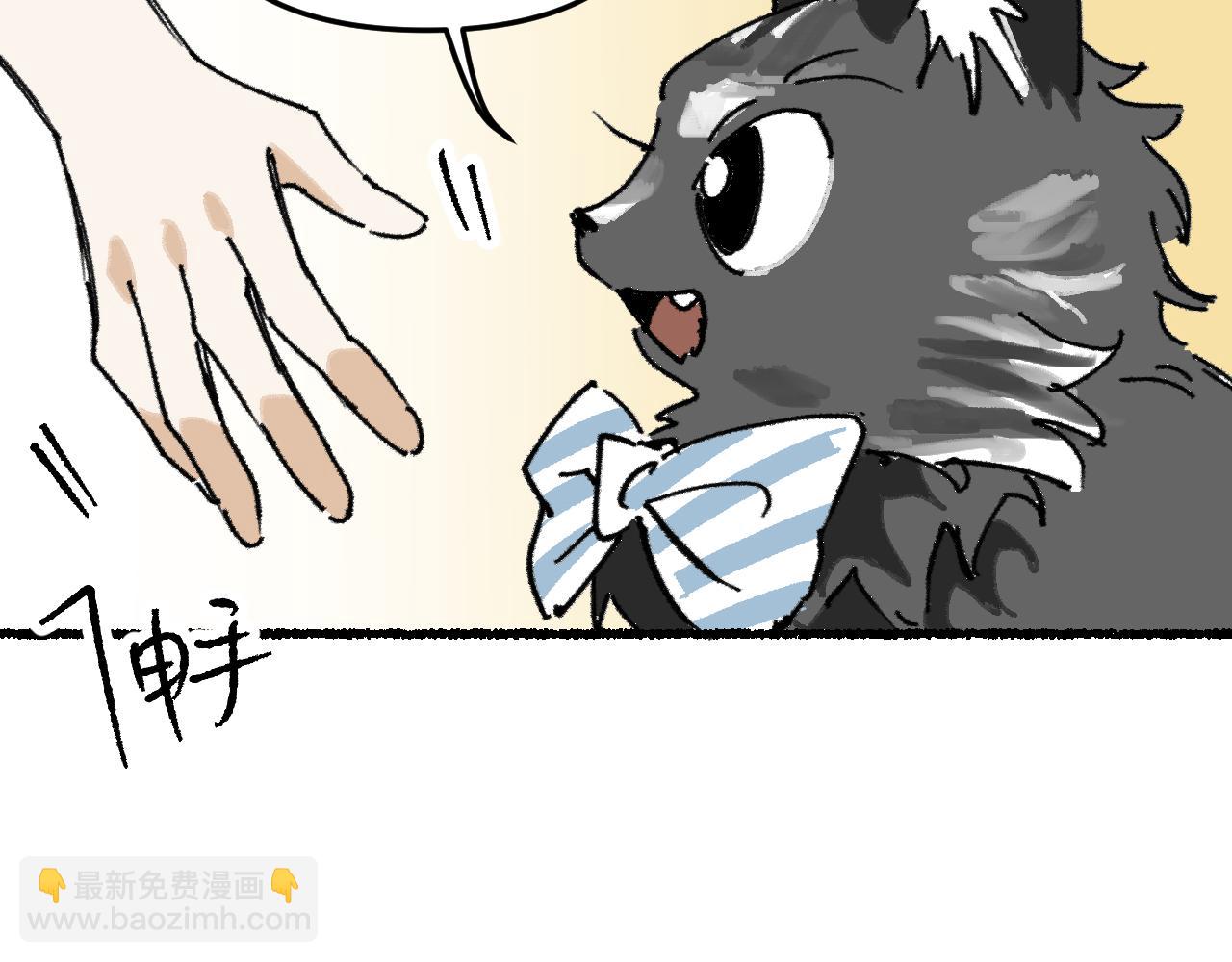 我的上司是隻貓？ - 沒有貓德的人類(1/2) - 8