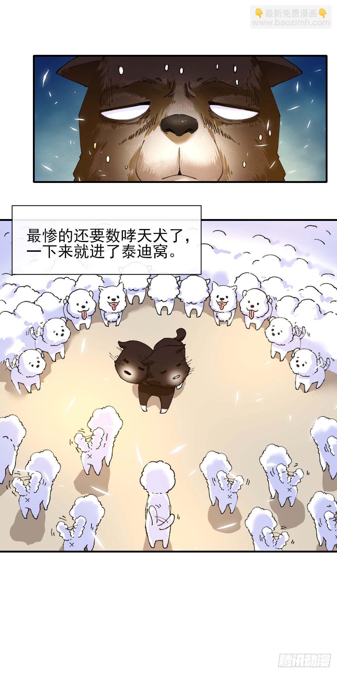 214星宿下乡-第214话