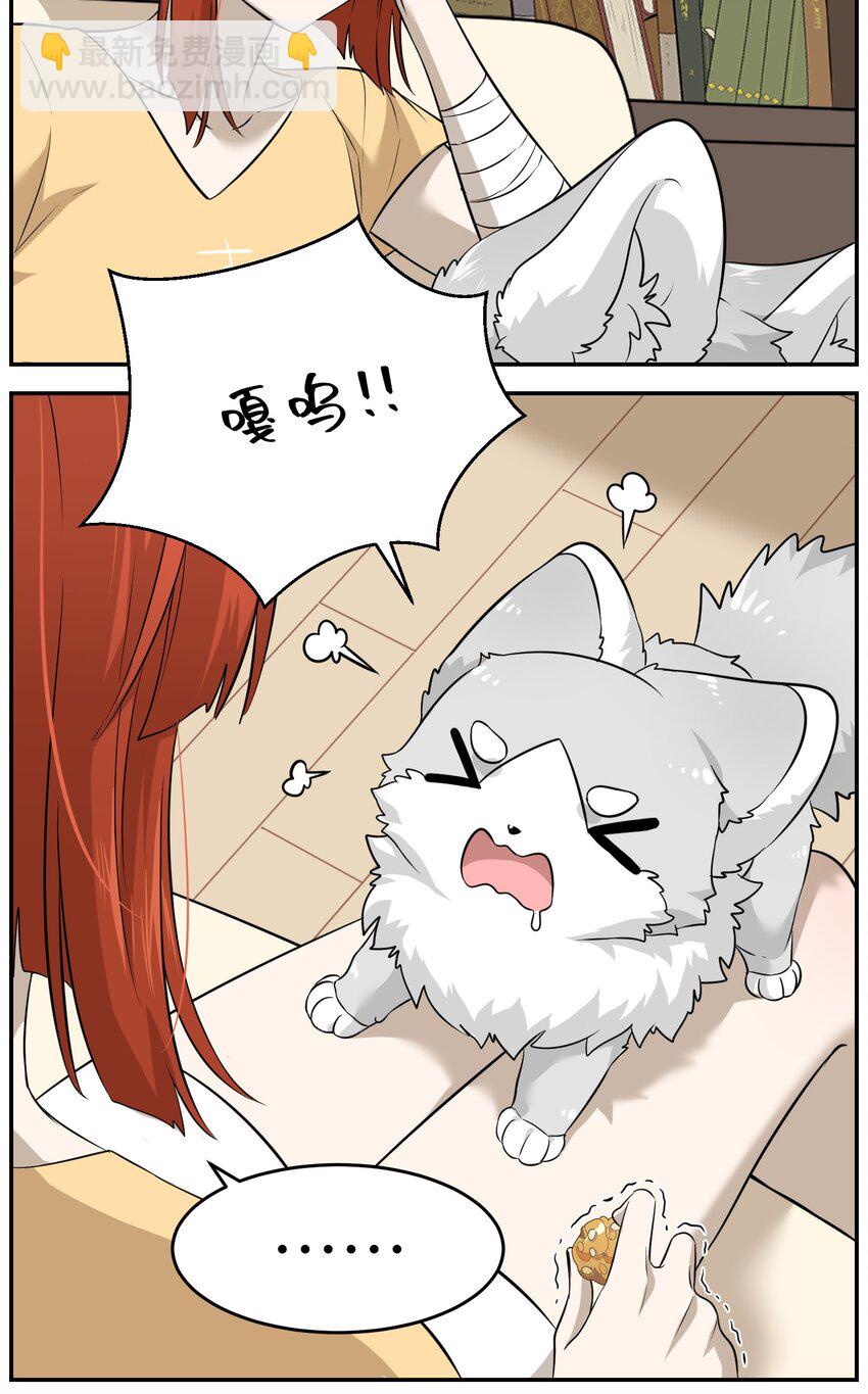 035 小可爱~-第36话