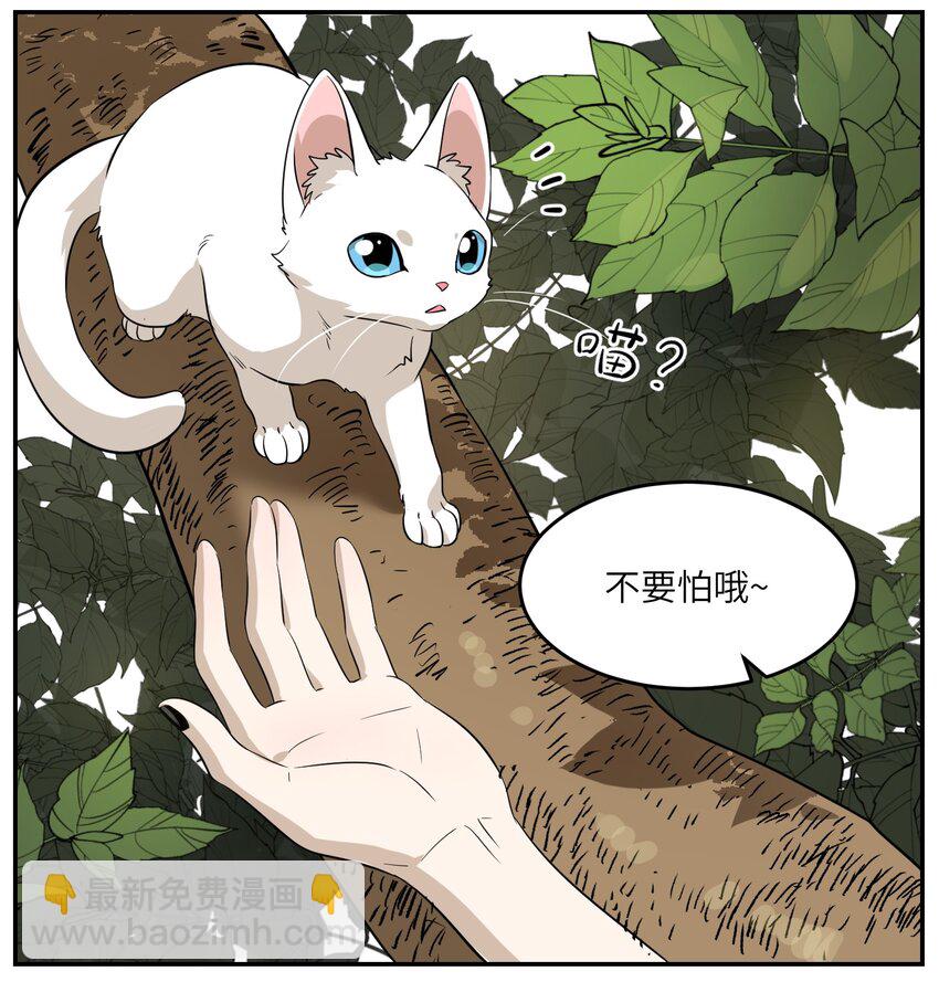 008 走散-第8话