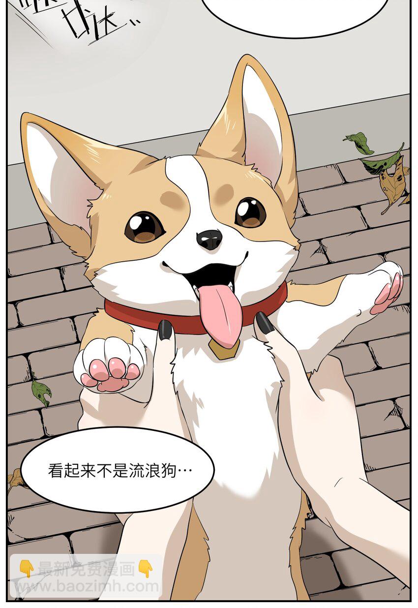 008 走散-第8话