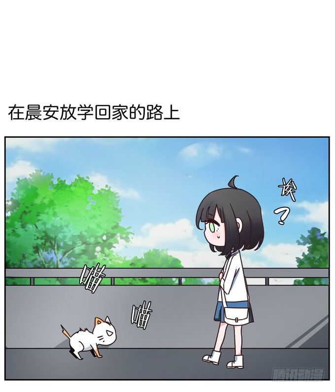 番外！喵喵大作战-第38话