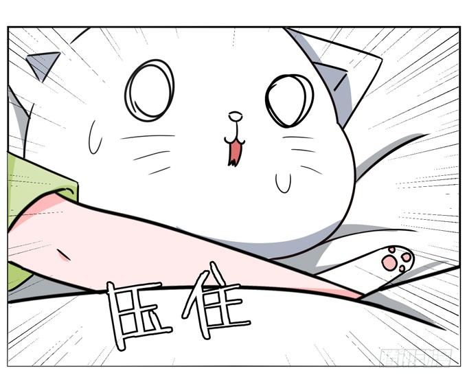 番外！喵喵大作战-第38话