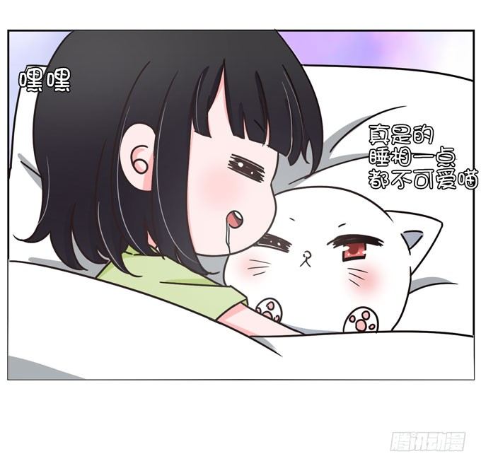 番外！喵喵大作战-第38话