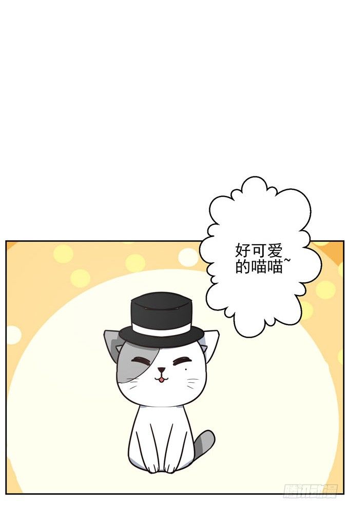 番外！喵喵大作战-第38话