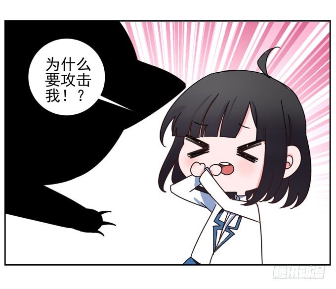 番外！喵喵大作战-第38话