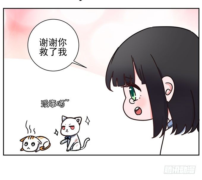 番外！喵喵大作战-第38话