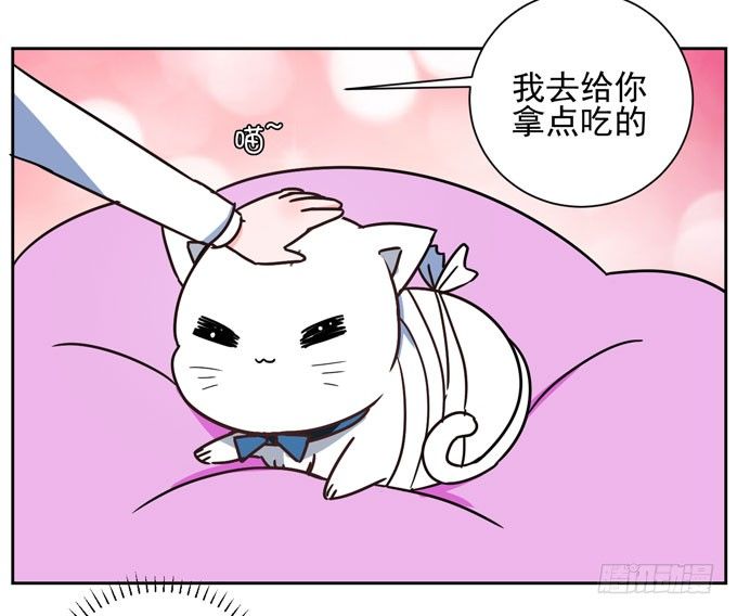 番外！喵喵大作战-第38话