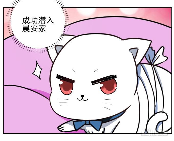 番外！喵喵大作战-第38话