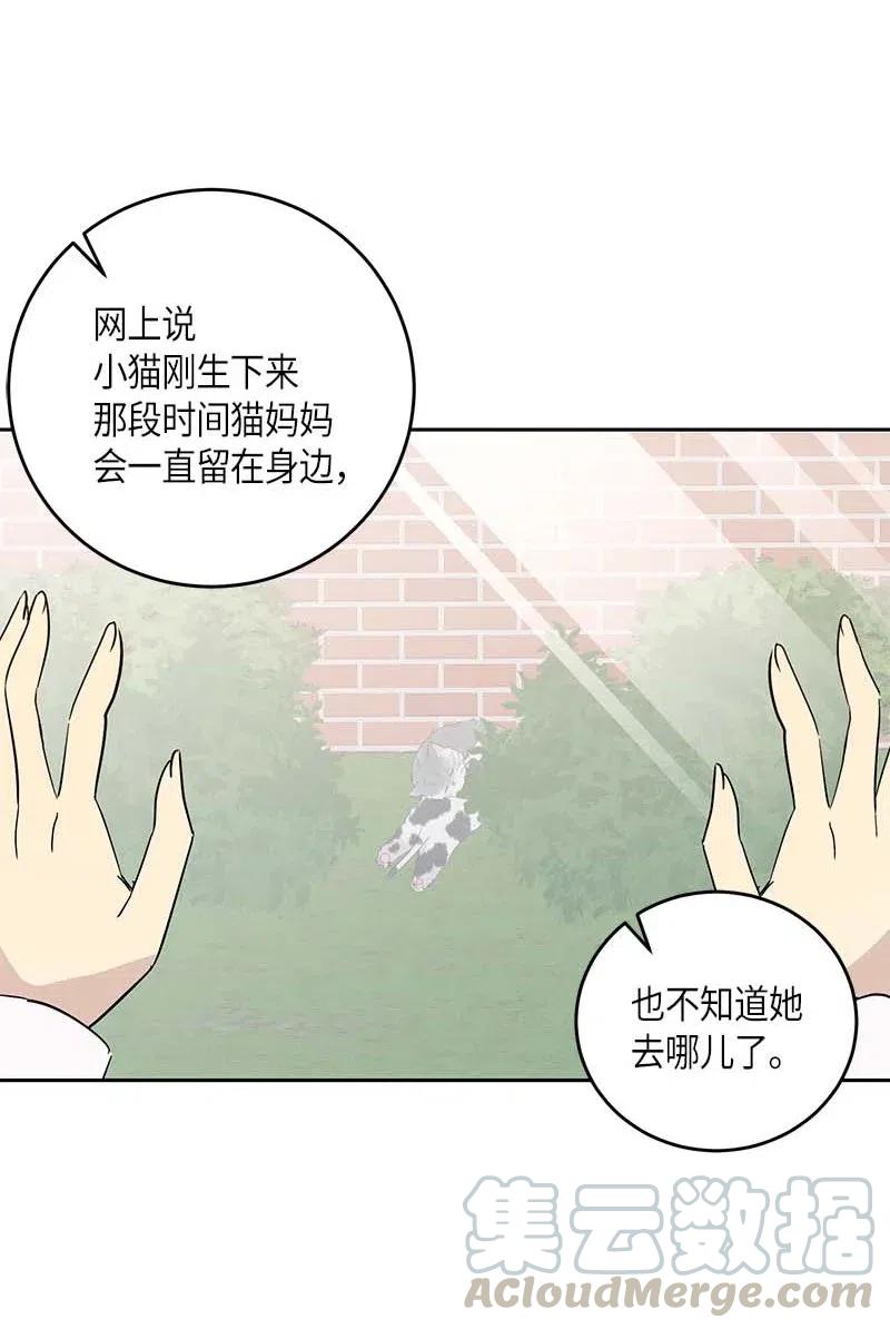 52 添新成员(1/2)-第46话