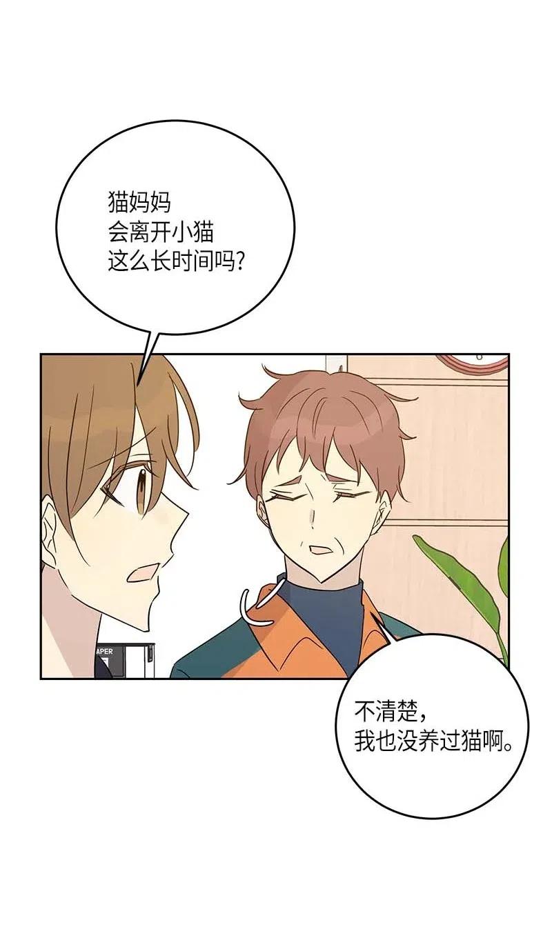 52 添新成员(1/2)-第46话