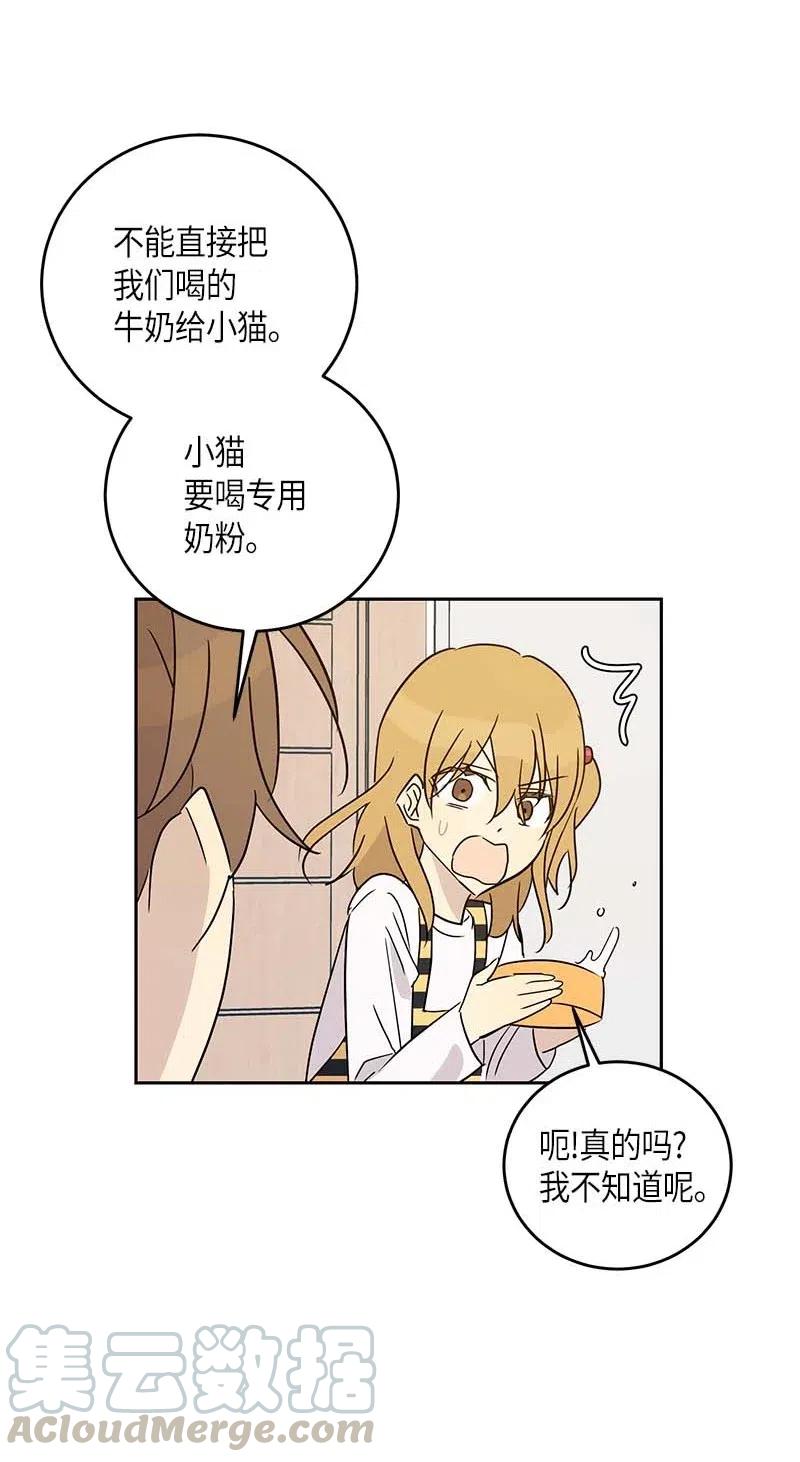 52 添新成员(1/2)-第46话