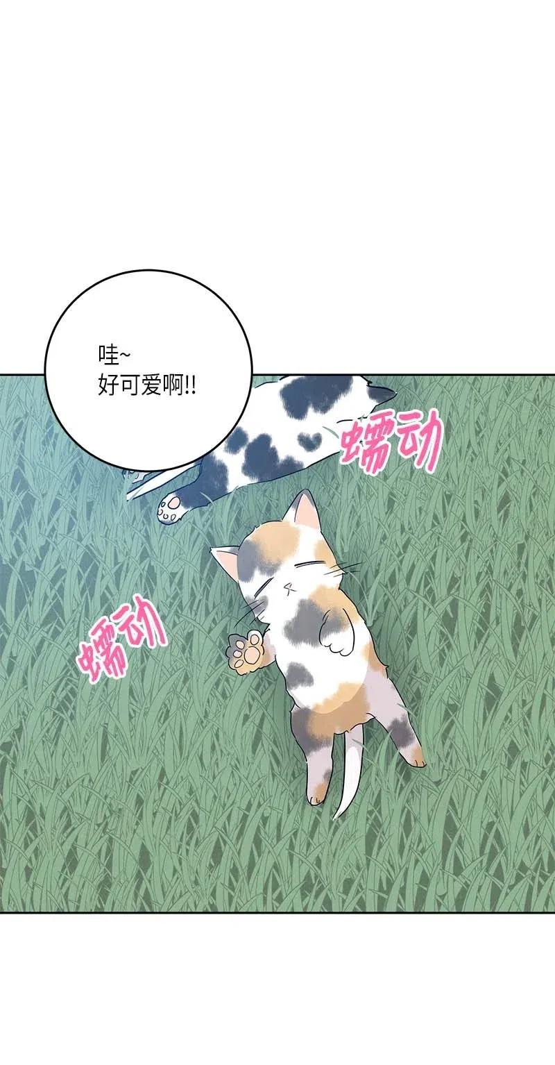 52 添新成员(1/2)-第46话