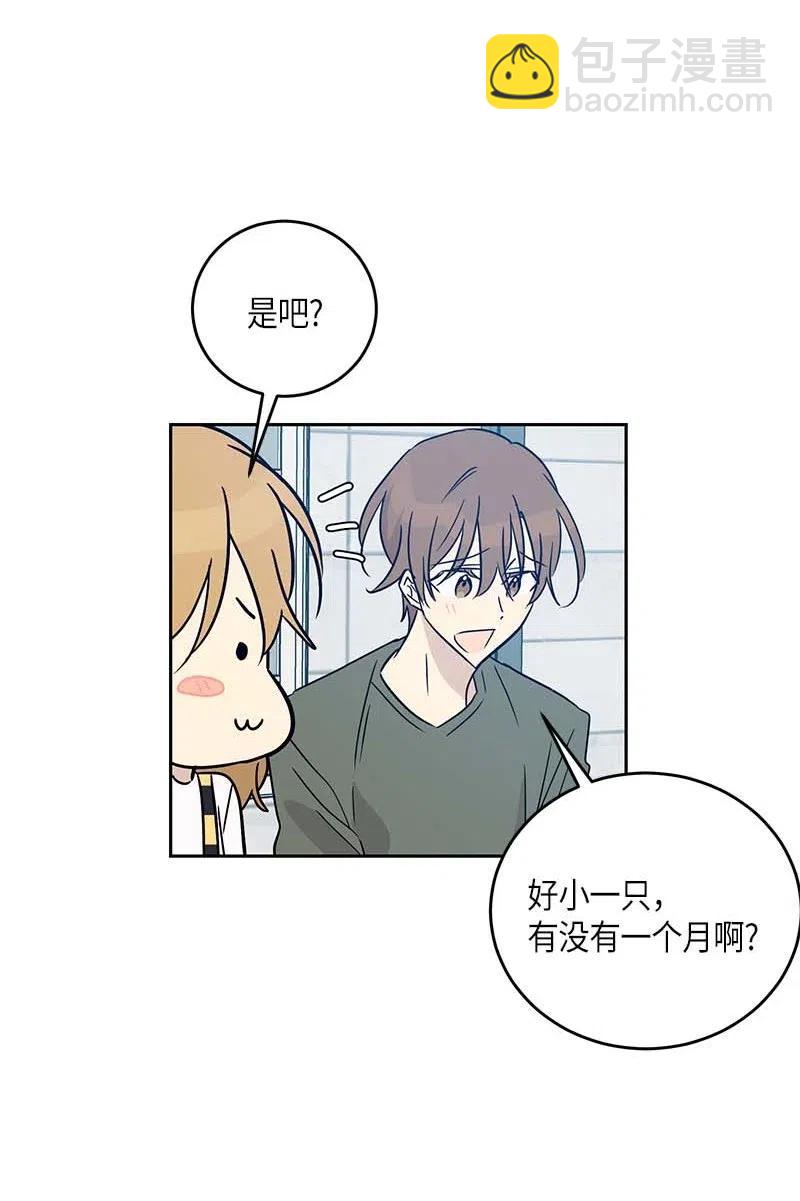 52 添新成员(1/2)-第46话