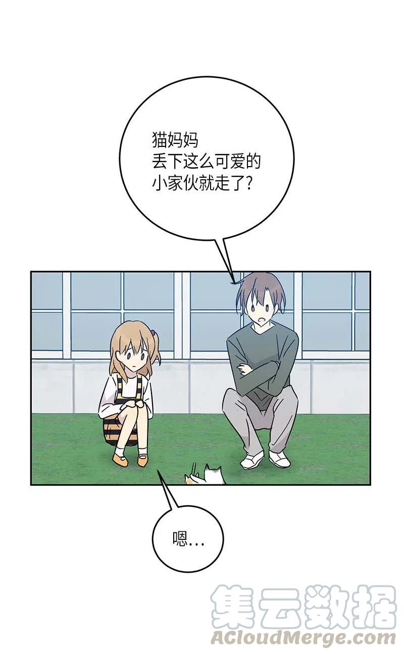 52 添新成员(1/2)-第46话