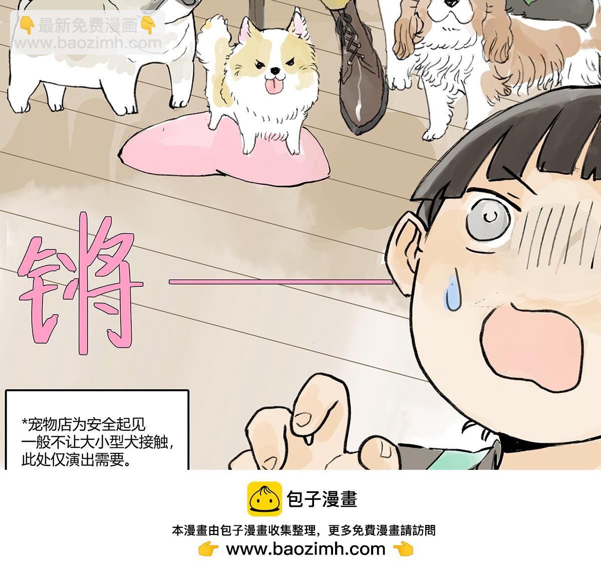 第10话 孤傲的狂犬与狗(1/2)-第10话