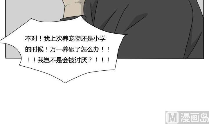第86话 激动的早晨-第86话