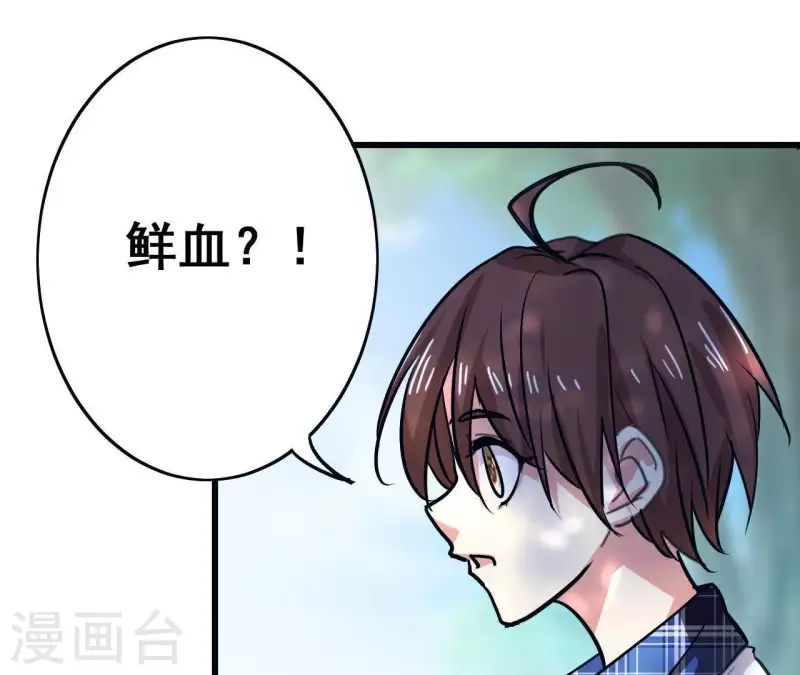 第14话 白莲登场(1/2)-第14话