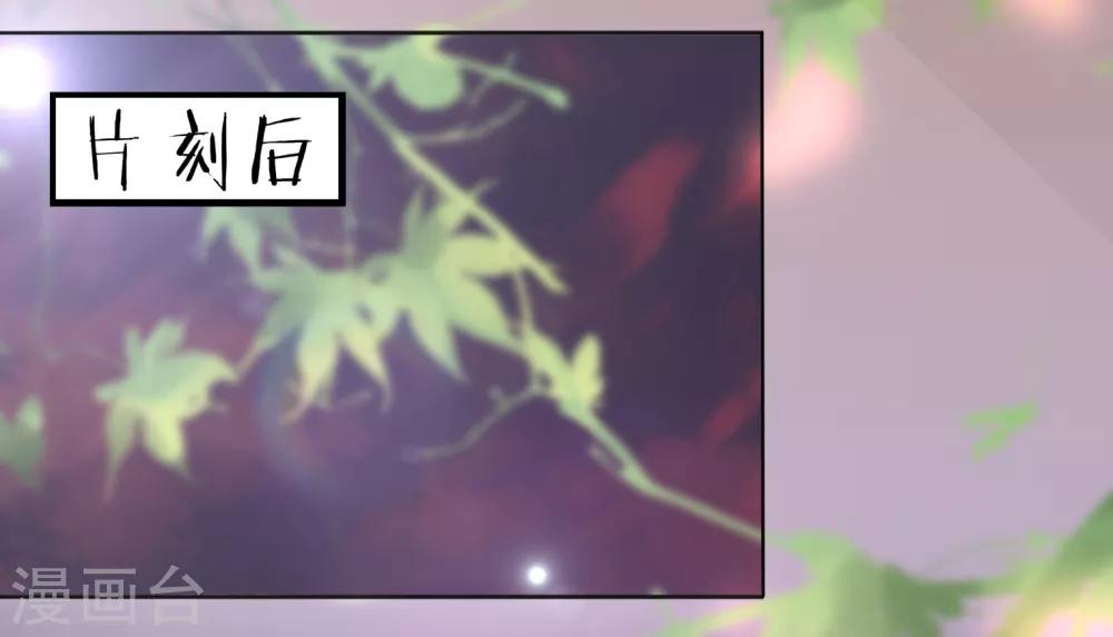 第13话 王爷动心了？-第14话