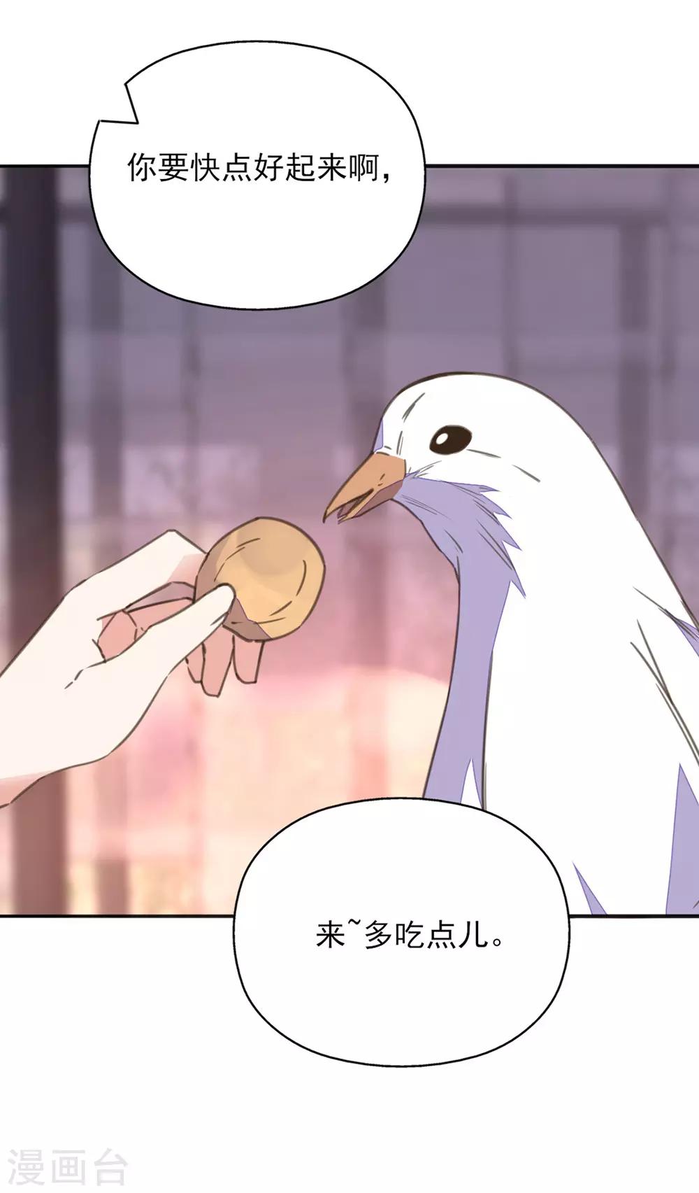 第36话 染血白鸽引猜忌-第40话
