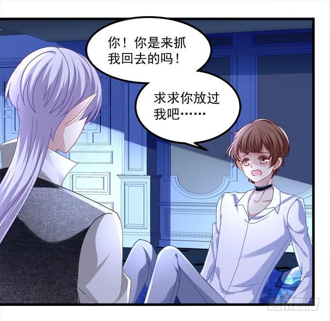 谁的阴谋？(1/2)-第128话
