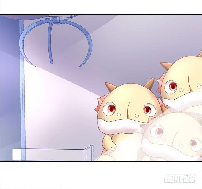 跟我去约会吧？(1/2)-第76话