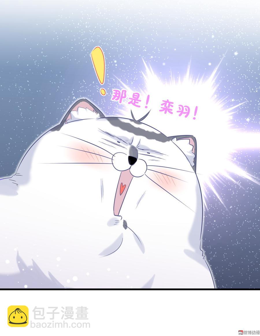 第65话 说不定有血缘关系？-第62话