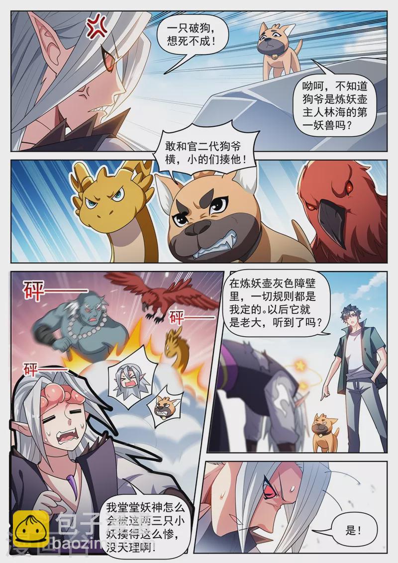 第491话 下一站，熊国-第494话
