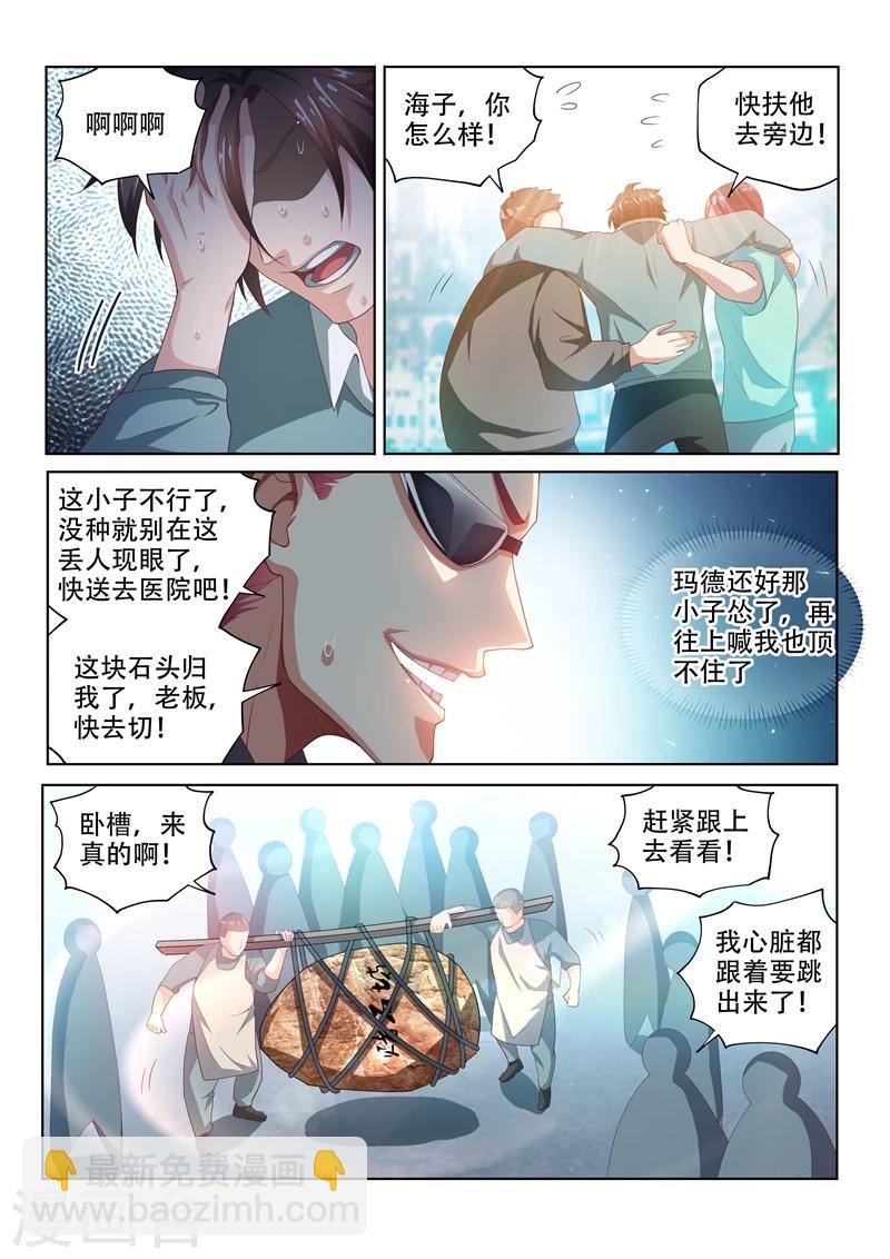 第52话 600万买废石-第52话
