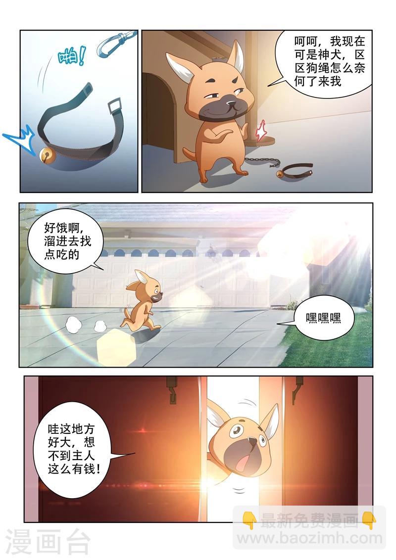 第70话 我的狗价值500万-第70话