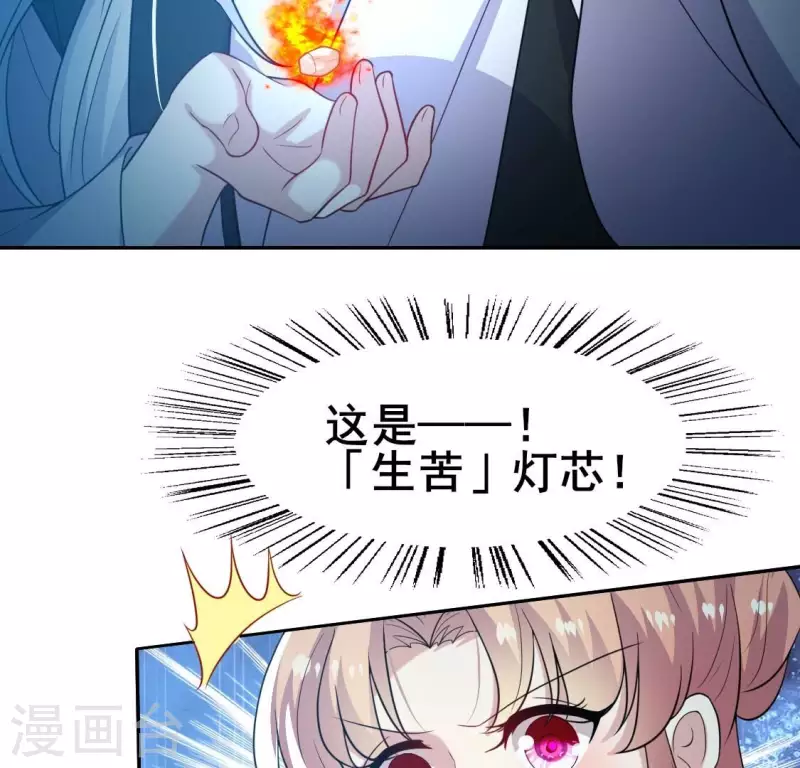 第203话 被夺走的灯芯(1/2)-第208话