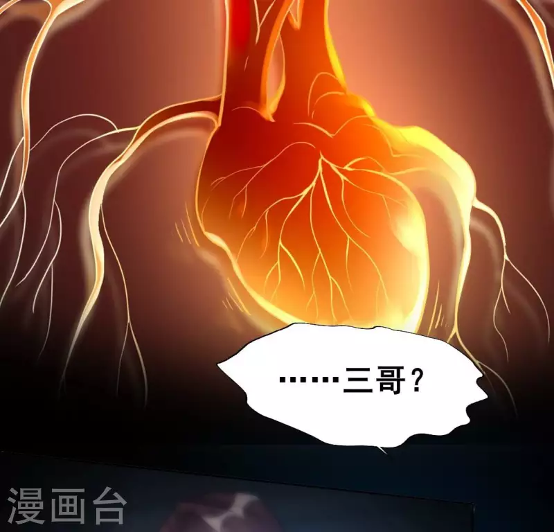 第203话 被夺走的灯芯(1/2)-第208话
