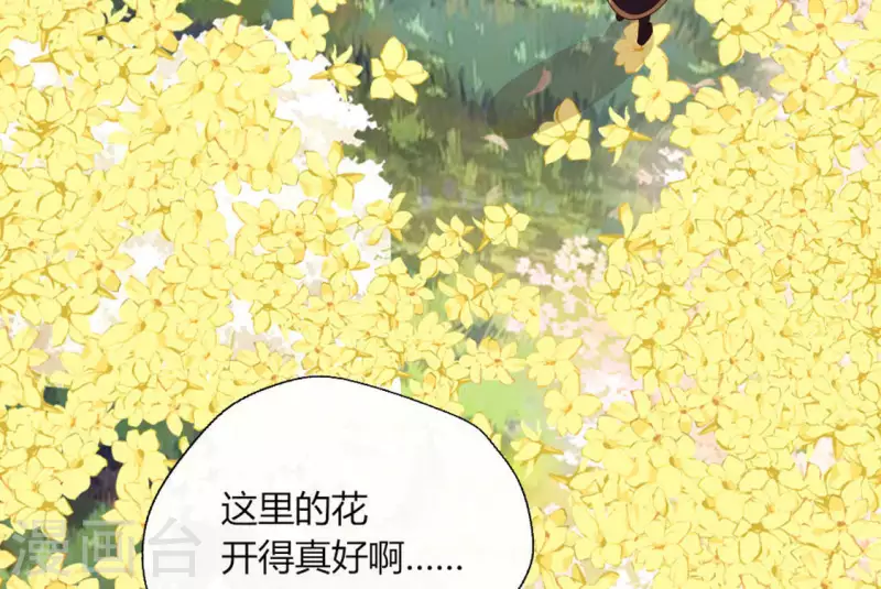 第97话 花田里不要惹火(1/2)-第102话