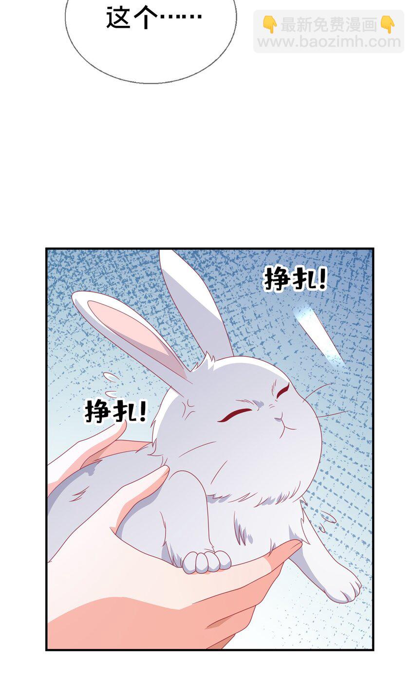 44 兔兔那么可爱(1/2)-第44话