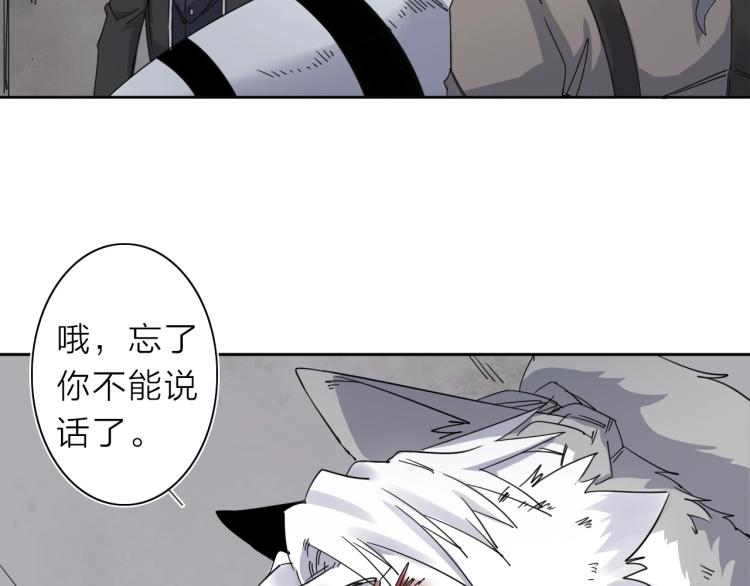 第11话 老猫不发威当我是病狗(1/3)-第12话