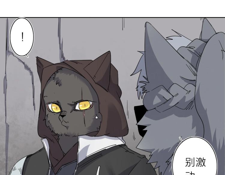 第11话 老猫不发威当我是病狗(1/3)-第12话